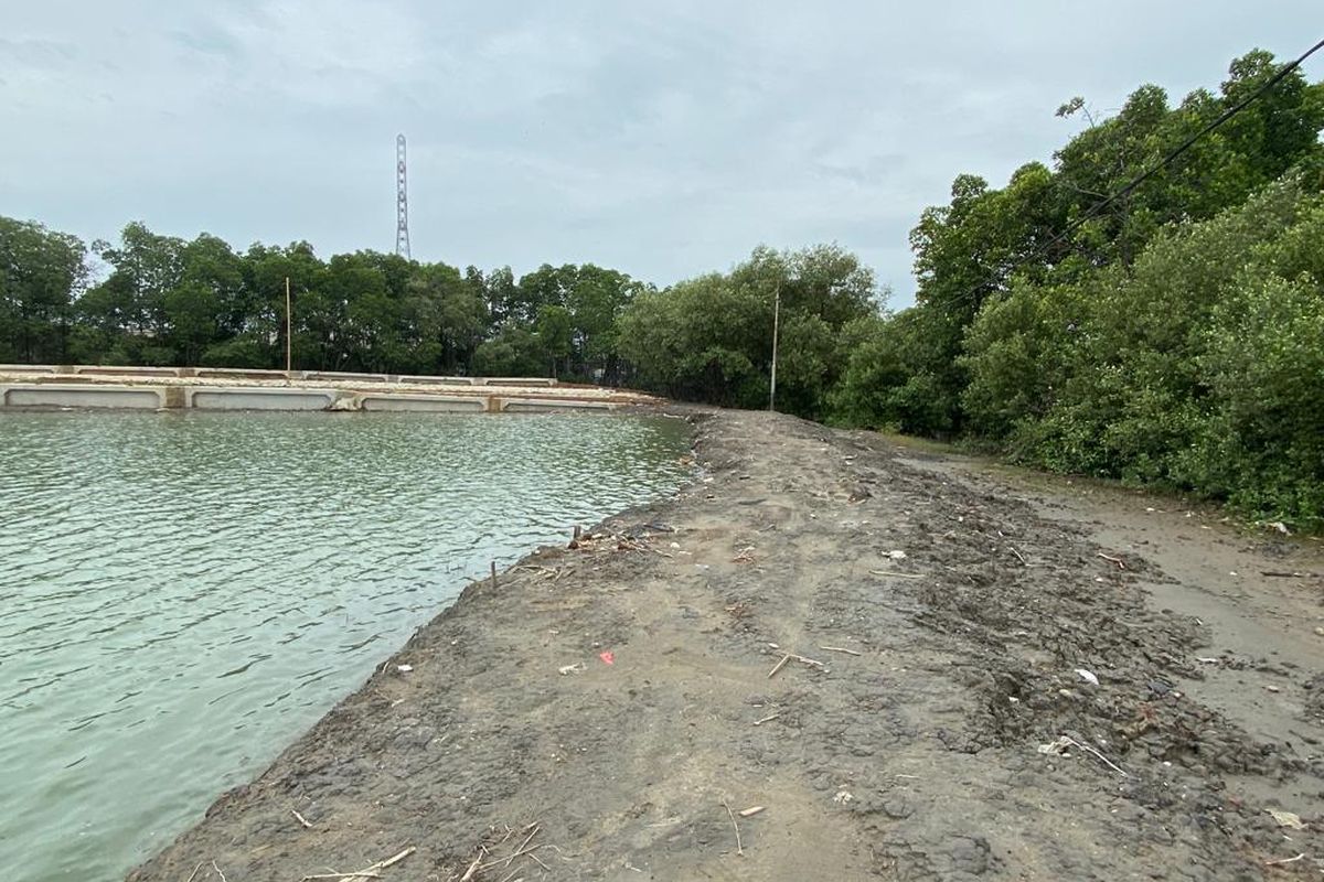 Suasana di Waduk Retensi Marunda, Cilincing, Jakarta Utara pada Jumat (3/2/2023). Waduk ini berfungsi untuk menahan banjir agar tak merendam permukiman warga. 