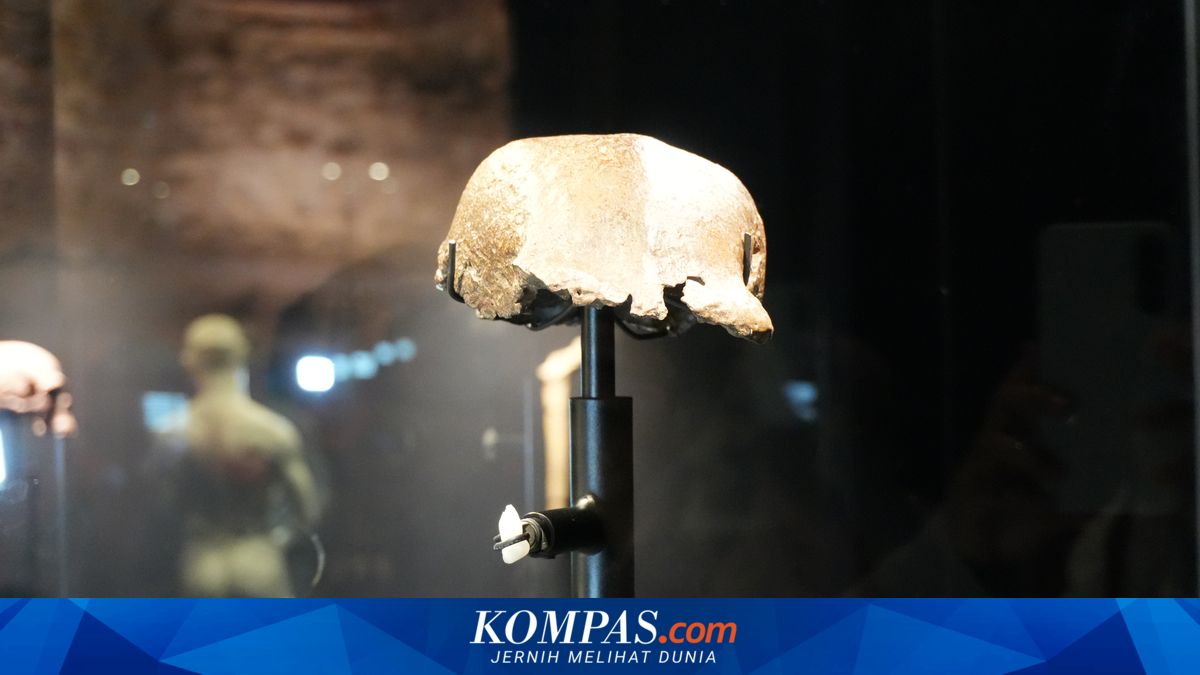 Nenek Moyang Manusia Tiba-Tiba Membesar 2 Juta Tahun Lalu, Ini Sebabnya