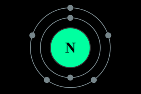 Senyawa Organik yang Mengandung Nitrogen
