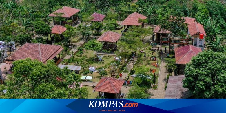 Kampung Rigis Jaya, Desa Wisata di Lampung Barat untuk Pencinta Kopi - Vimarsana News