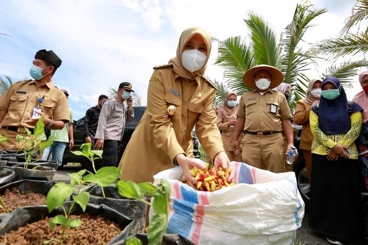 Menurut Ipuk, selain merugikan konsumen, tindakan itu akan merugikan para petani dan pelaku usaha cabai di Banyuwangi karena Kabupaten Banyuwangi dikenal sebagai sentra cabai di Indonesia. 