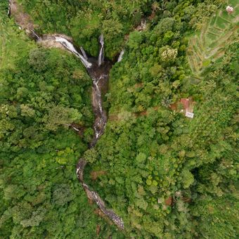 Accountability Framework initiative (AFi) merilis panduan untuk membantu perusahaan dan lembaga keuangan menghentikan deforestasi.