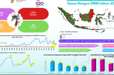 Kasus Demam Berdarah di Yogyakarta Capai Ratusan, 2 Meninggal, Terbanyak di Gunungkidul