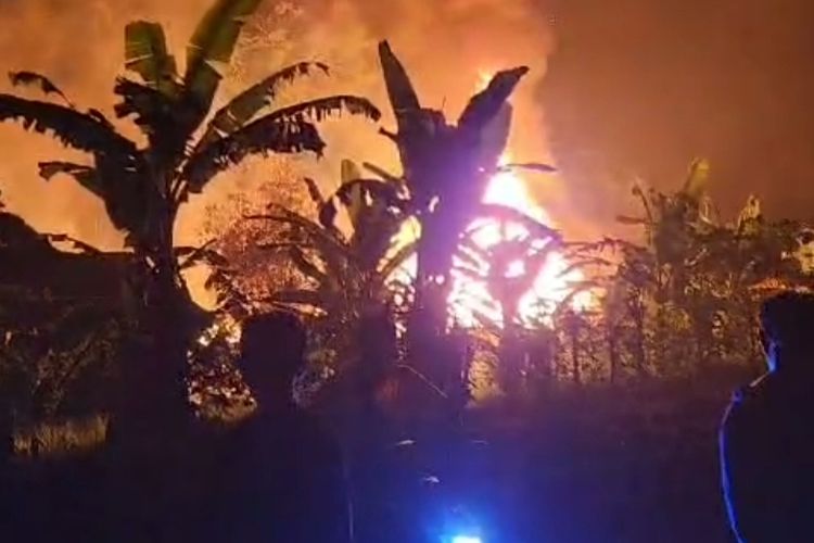 Api saat membakar kandang ayam warga Desa Tegalarum Kecamatan Sempu 