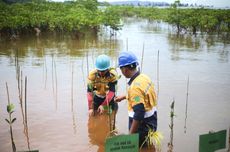 Lestarikan Lingkungan di Wilayah Operasi, Antam Rehabilitasi DAS Poleang