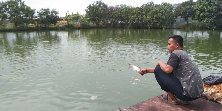 Abdul Rozak (27), warga Desa Mekarmulya, Kecamatan Telukjambe Barat, Kabupaten Karawang memperlihatkan ikan patin di tambaknya, Kamis (9/7/2022).