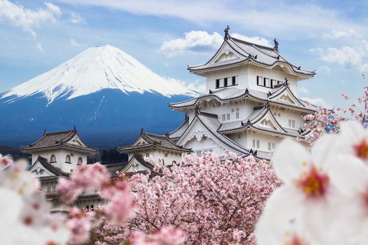Kastil Himeji di Jepang saat bunga Sakura mekar