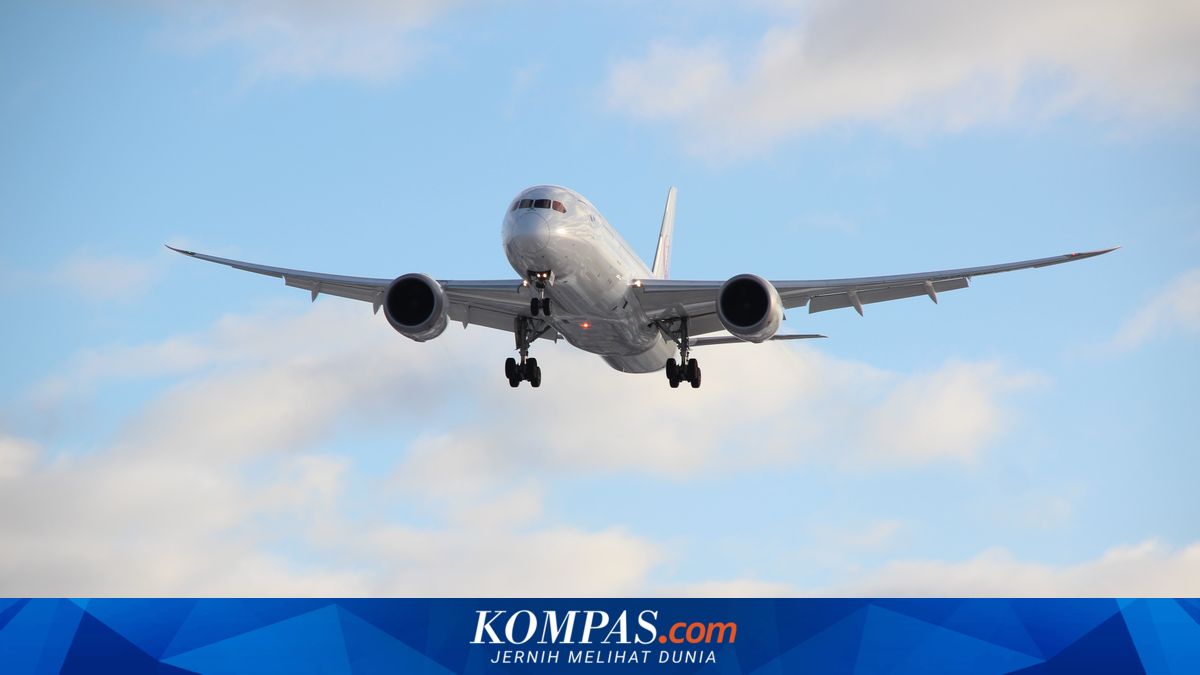 Pemerintah Tanggung PPN Tiket Pesawat Ekonomi, Harga Jadi Lebih Terjangkau