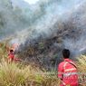 100 Hektare Hutan di Menara Pandang Tele Samosir Terbakar, Api Sampai ke Jalan