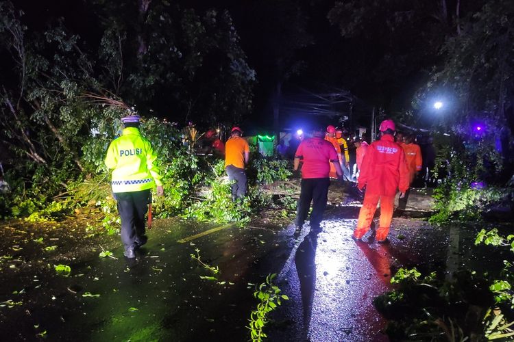 Petugas gabungan evakuasi pohon  sonokeling yang tumbang dan menutup total jalur utama, penghubung antar kota di Kabupaten Trenggalek Jawa Timur, Kamis (05/12/2024).