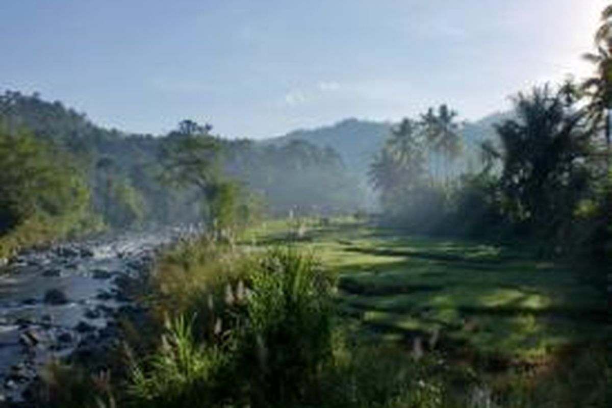 Hamparan sawah merupakan keindahan tersendiri dibalur nuansa pedesaan yang khas.