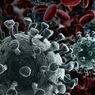 Kemenkes: Varian Virus Corona  B.1.351 Diduga Turunkan Efikasi Vaksin