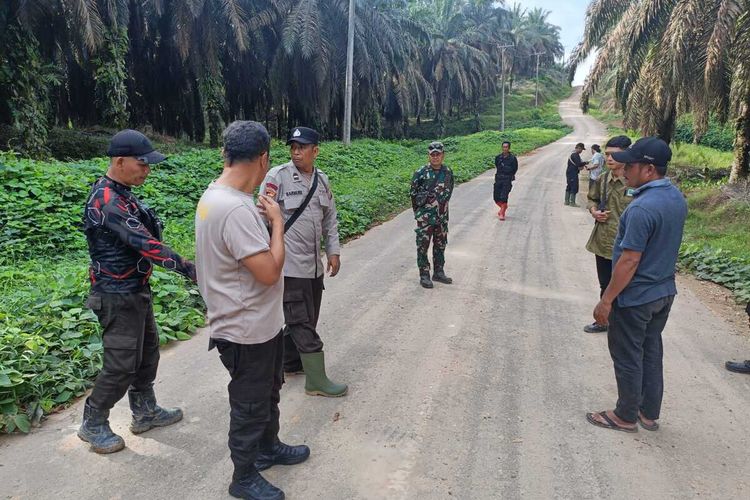 Pergoki Pencuri Sawit, Manajer PT Lonsum Ditabrak Pelaku dengan Mobil hingga Pingsan