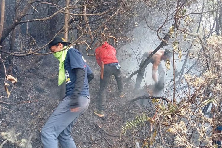 Sejumlah petugas berupaya memadamkan api yang melalap savana alun-alun Suryaencana Taman Nasional Gunung Gede Pangrango (TNGGP), Senin (18/9/2023).
