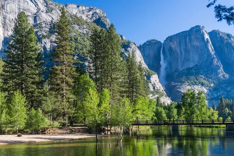 Trump Mau Babat Alam Liar AS demi Industri Energi Besar