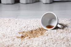 3 Cara Membersihkan Noda Kopi pada Karpet dengan Bahan Alami