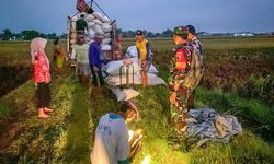 Serapan Gabah Tembus 300.000 Ton Setara Beras, Bulog Perikarakan Surplus Beras hingga April 2025