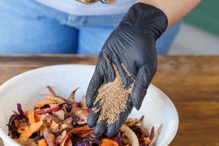 Ilustrasi membuat pupuk bokashi di rumah. 