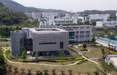 Misteri Institut Virologi Wuhan, Sebenarnya Apa yang Dikerjakan ...