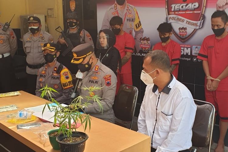 Polres Tegal menggelar konferensi pers pengungkapan kasus narkoba dengan menghadirkan tiga tersangka dan barang bukti berupa tanaman ganja dalam pot, di mapolres setempat, Kamis (15/7/2021) (Istimewa)