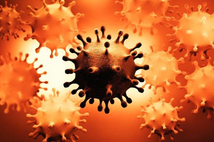 Semakin tinggi virus corona memperbanyak diri saat berada di dalam tubuh kita, semakin besar pula kans terjadinya mutasi.