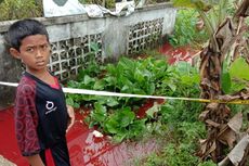 Air Parit di Aceh Utara Tiba-tiba Berubah Jadi Merah Darah, Jadi Tontonan Warga