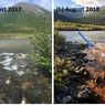 Sungai-sungai di Alaska Berubah Kecokelatan karena Perubahan Iklim