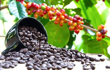Ilustrasi kopi.