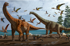 Video Jejak Dinosaurus di Texas AS Beredar, Begini Kondisi Sungai Paluxy di Masa Purba