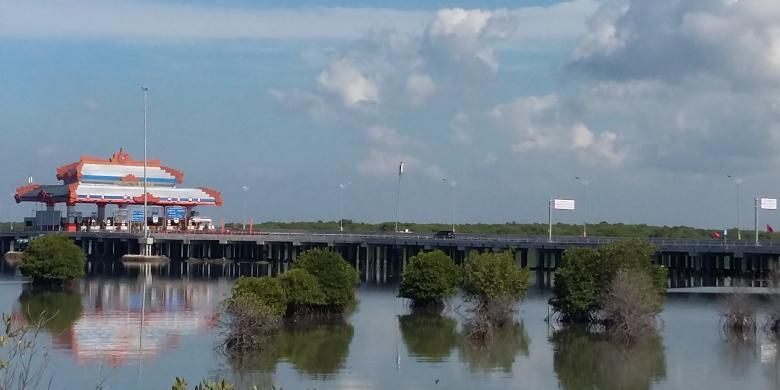 Teluk Benoa yang dilalui jalan tol diatas perairan yang rencananya akan direklamasi. 