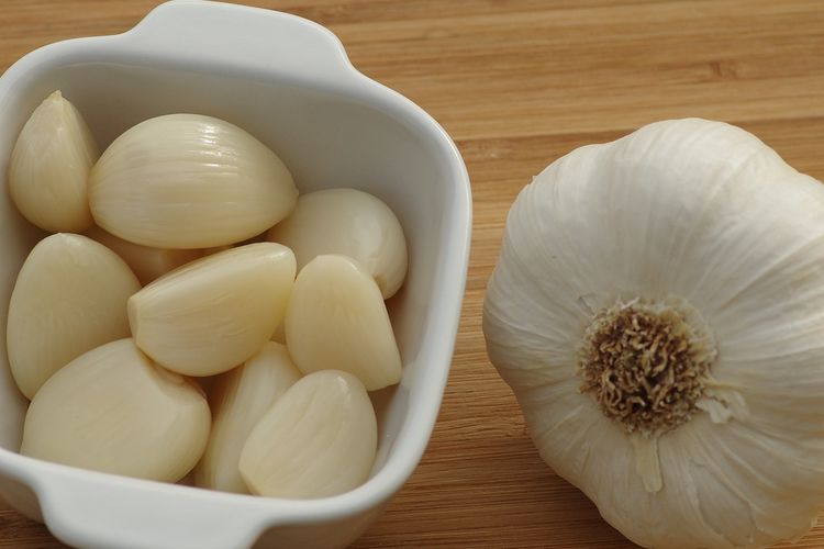 Ilustrasi bawang putih, bawang putih. 