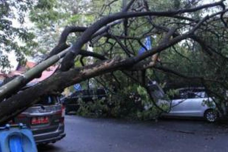 Mobil Kijang Inova milik anggota Komisi D DPRD Kota Manado dengan nopol DB 1690 A tertimpa pohon, Selasa (17/11/2015) 
