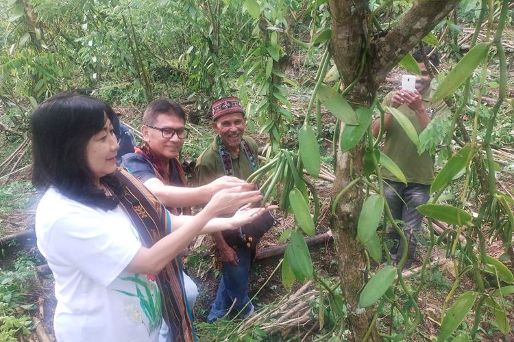 Ketua Badan Pengurus Yayasan Dharma Bhakti Astra (YDBA) Rahmat Samulo, didampingi Sekretaris Pengurus YDBA Ema Poedjiwati Prasetio melakukan kunjungan ke perkebunan vanili di Kampung Loha, Desa Loha, Kecamatan Macang Pacar Manggarai Barat, NTT