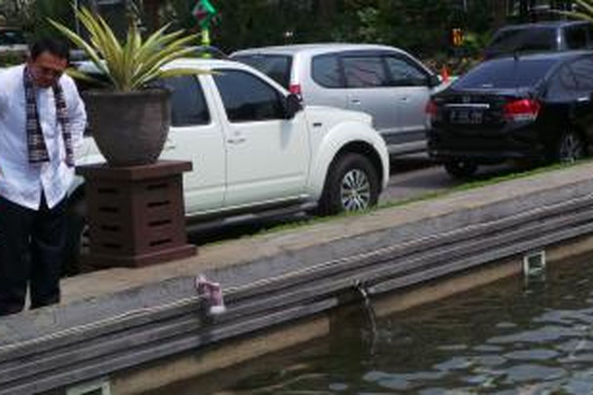 Gubernur DKI Jakarta Basuki Tjahaja Purnama melihat-lihat ikan di kolam Balai Kota, Kamis (10/9/2015). Rencananya Sabtu (12/9/2015) ini, Balai Kota mulai dibuka untuk umum. 