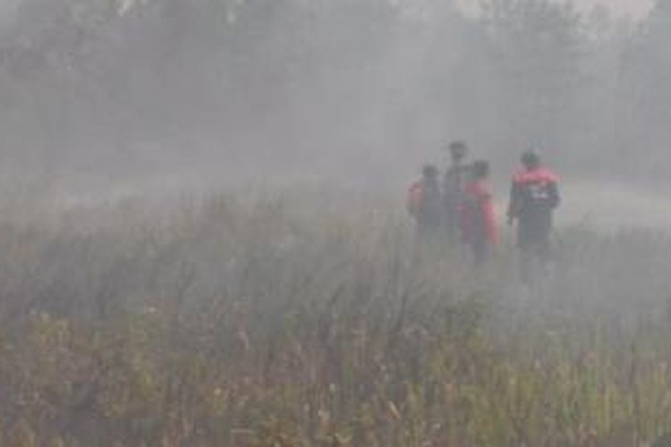 Petugas gabungan memadamkan puluhan hektar lahan gambut di Palangka Raya