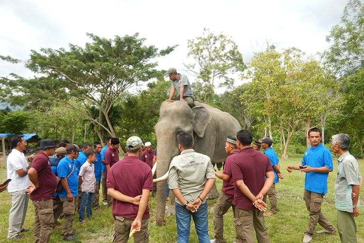 Pelatihan tentang perilaku gajah yang dilakukan oleh masyarakat Desa Napal, Aceh Selatan.