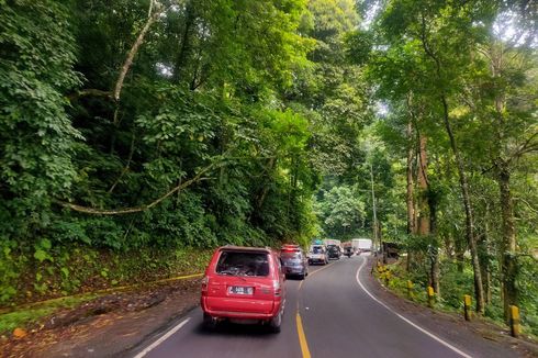 Jember-Banyuwangi via Gumitir, Waspada Berkendara di Jalur yang Rawan Kecelakaan