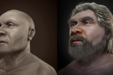 Jauh dari Primitif, Manusia Purba Neanderthal Suka Mengatur Rumahnya