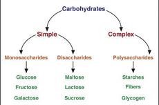 Contoh Senyawa Monosakaria, Disakarida, dan Polisakarida