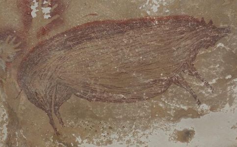  World’s Oldest Cave Painting Found in Indonesia