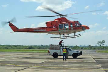 Translokasi Pelepasliaran Harimau Sumatera di Jambi Dibantu Helikopter