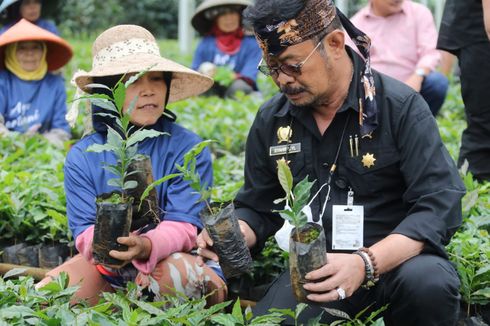 Mentan Minta Bibit Kopi Dikembangkan di Berbagai Daerah