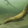 Fosil Monster Laut Ungkap Gurun Australia Pernah jadi Laut Tropis