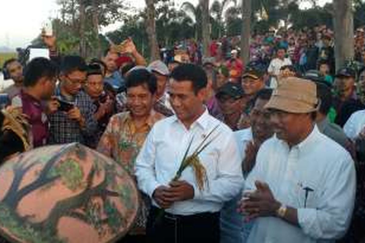 Menteri Pertanian (Mentan) Andi Amran Sulaiman saat kunjungan kerja di Kabupaten Jepara Jawa Tengah, Kamis (14/7/2016).