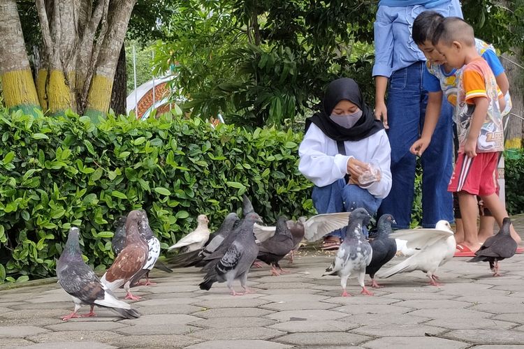 Warga menikmati suasana alun-alun yang asri dan keberadaan burung merpati di Wates, Kulon Progo, Daerah Istimewa Yogyakarta.