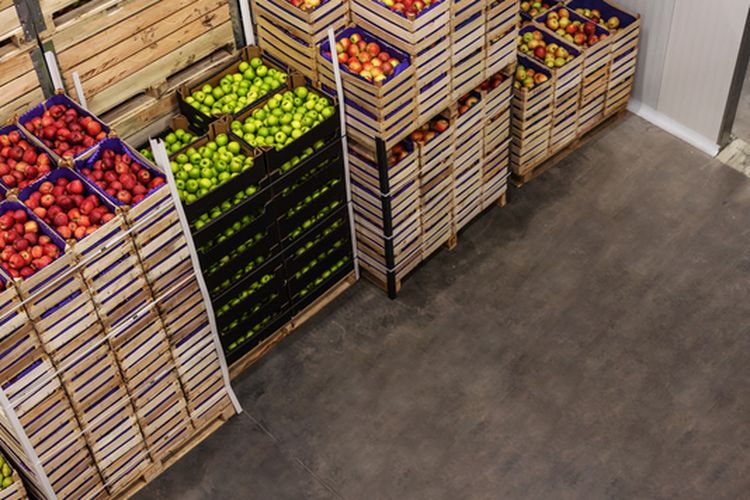 Ilustrasi cold storage untuk menyimpan buah segar. 