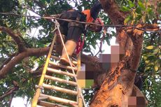 Warga Kediri Meninggal Misterius di Pohon Mangga, Evakuasi Satu Jam