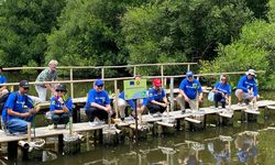 Hadapi 'Triple Planetary Crisis', Uni Eropa Gandeng ASEAN Lestarikan Hutan Mangrove