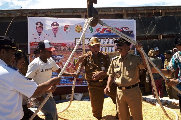 Tahun ini Touna telah mengekspor jagung 6 kali dengan total sekitar 14 ribu ton ke Filipina. Hal ini terungkap di acara Pelepasan Ekspor Jagung tahap ke-6 di Pelabuhan Mantangisi, Ampana Tete, Rabu (18/7/2018). 