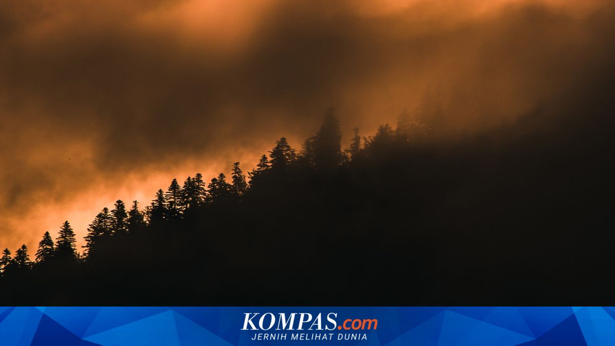 2 Helikopter Tabrakan Saat Padamkan Kebakaran Hutan di Yunani, Ada yang Meledak